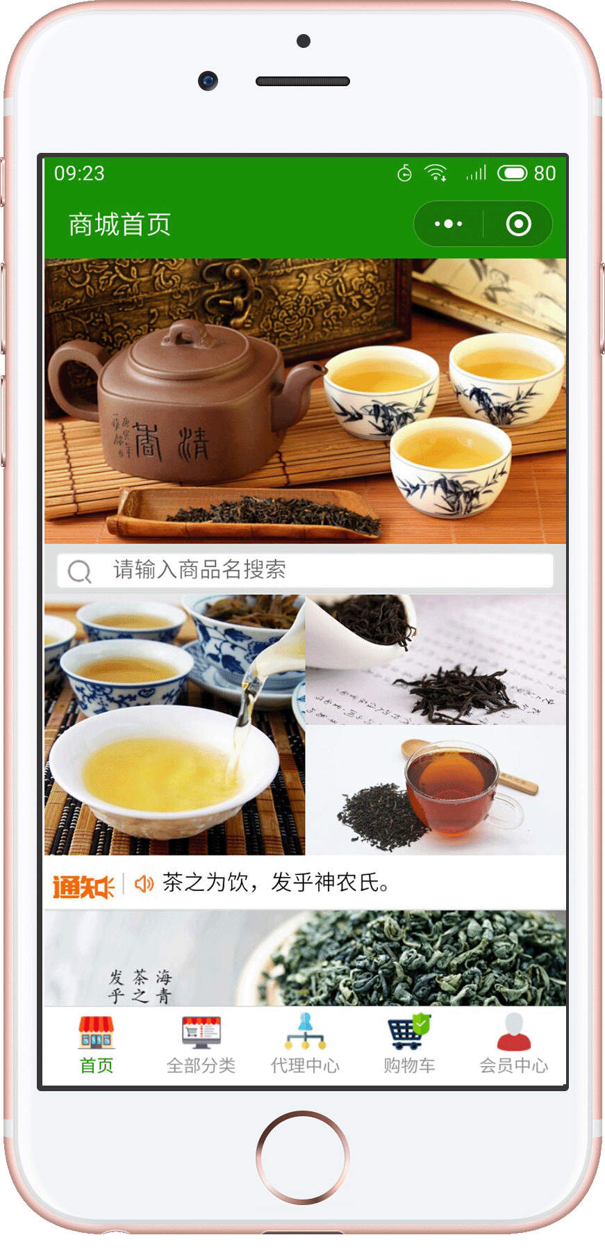 胶南海青茶案例展示